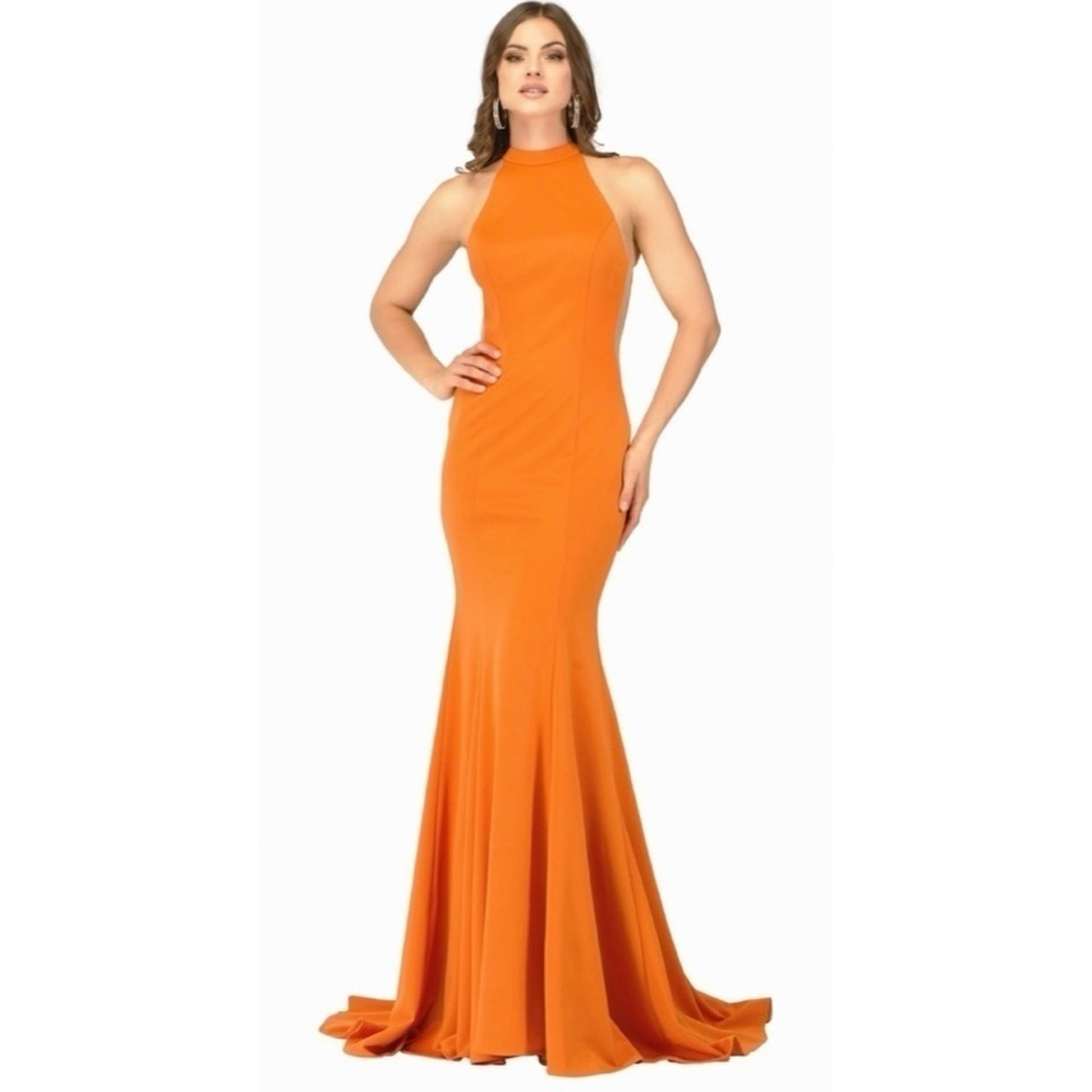 Abby Paris by Lucci Lu Gown in Burnt Orange Sz 18